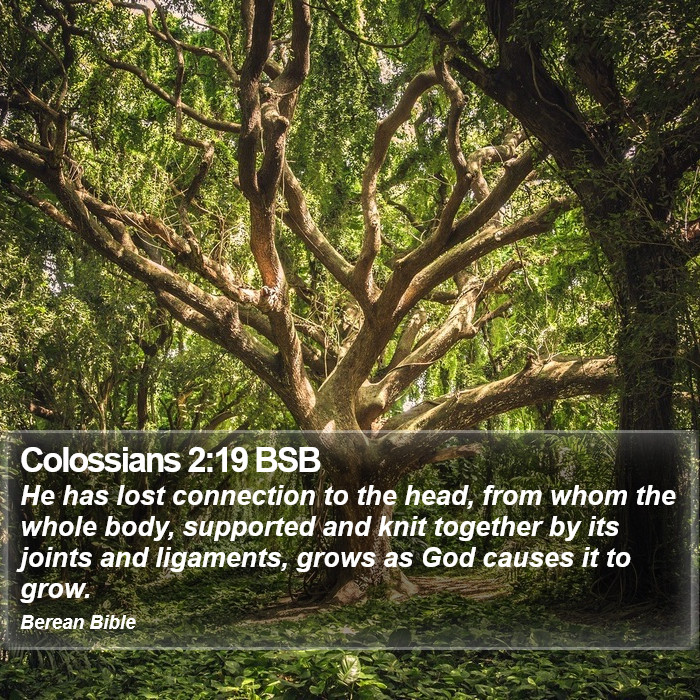 Colossians 2:19 BSB Bible Study