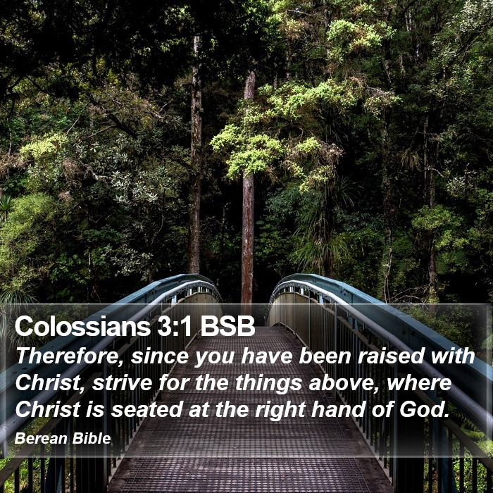 Colossians 3:1 BSB Bible Study