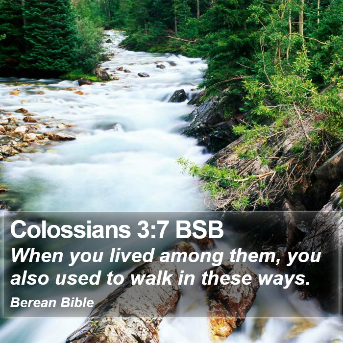 Colossians 3:7 BSB Bible Study