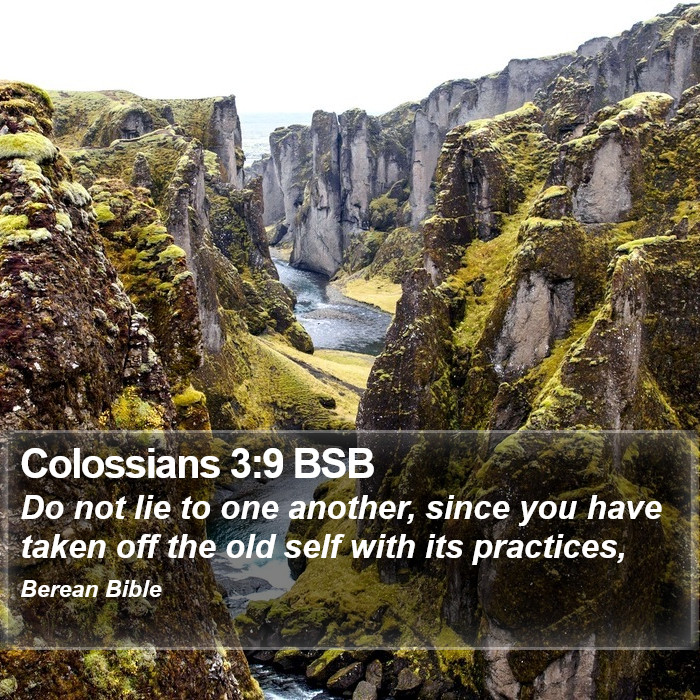 Colossians 3:9 BSB Bible Study