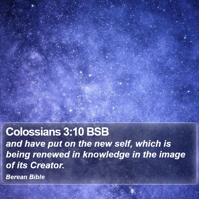 Colossians 3:10 BSB Bible Study