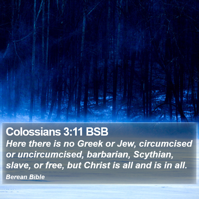 Colossians 3:11 BSB Bible Study