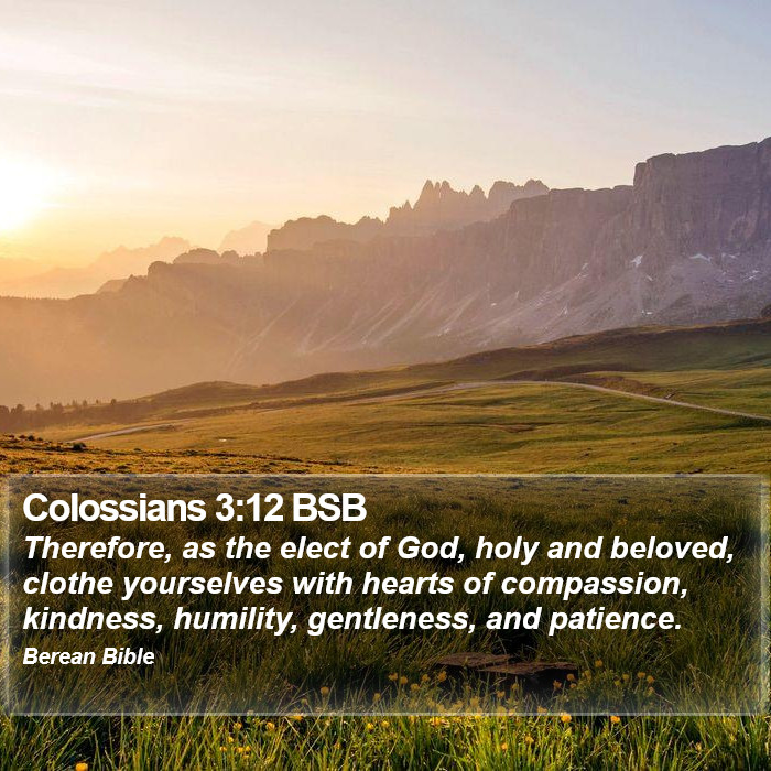 Colossians 3:12 BSB Bible Study