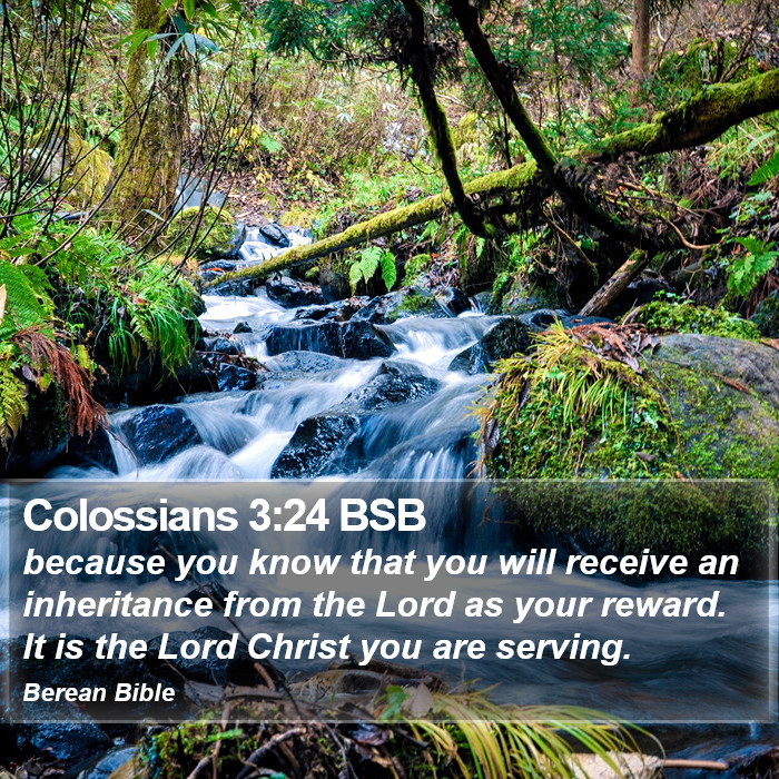 Colossians 3:24 BSB Bible Study