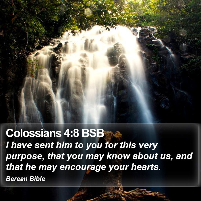 Colossians 4:8 BSB Bible Study