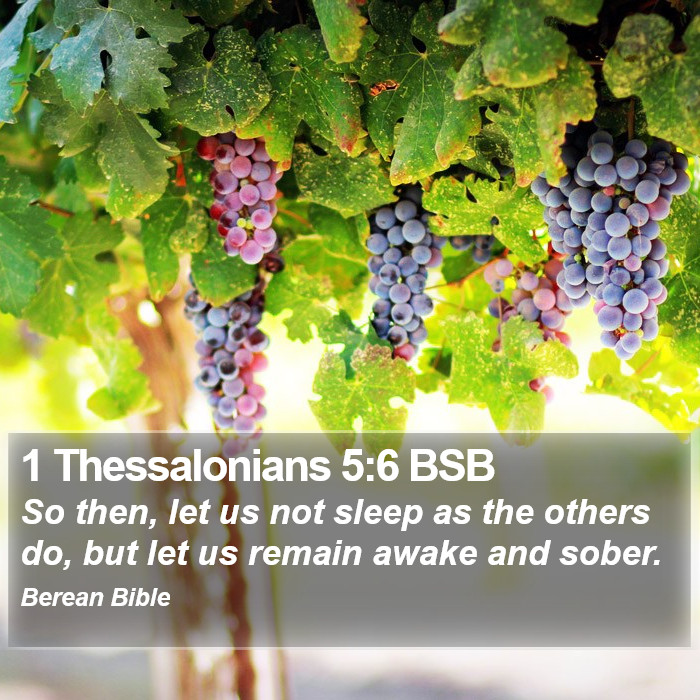 1 Thessalonians 5:6 BSB Bible Study