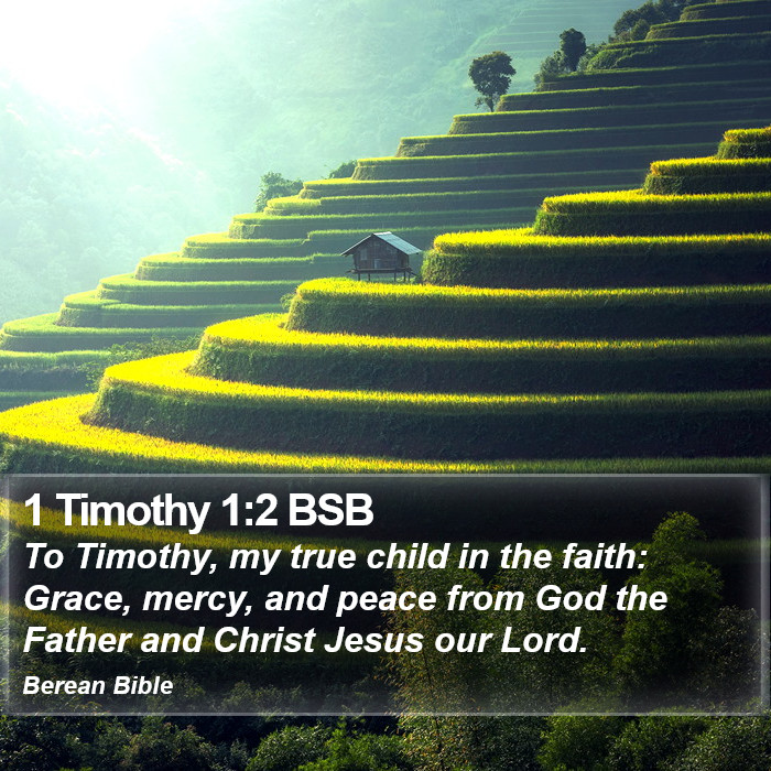 1 Timothy 1:2 BSB Bible Study