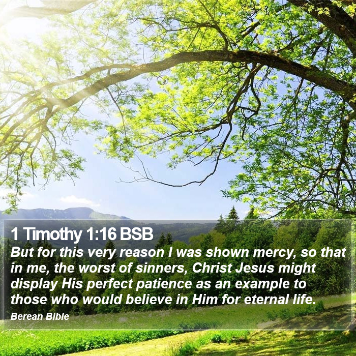 1 Timothy 1:16 BSB Bible Study