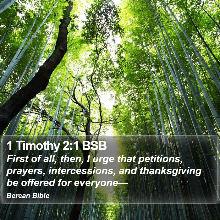 1 Timothy 2:1 BSB Bible Study