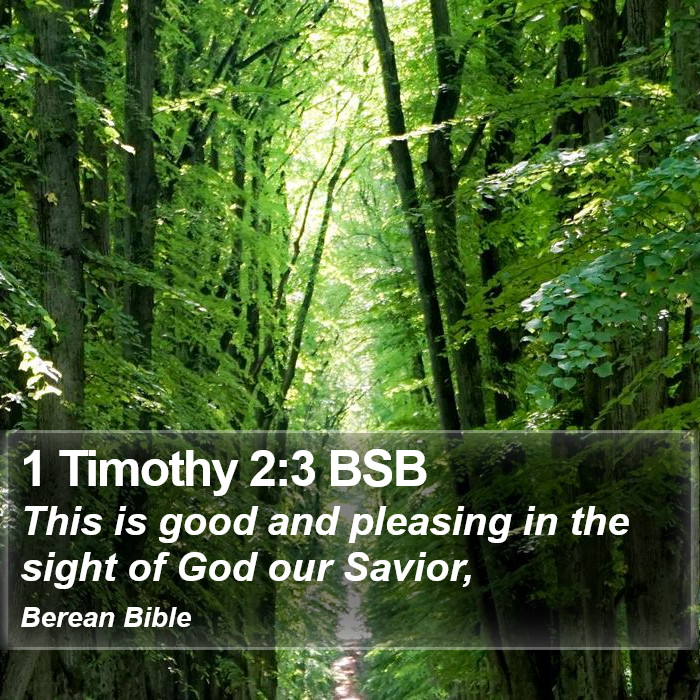 1 Timothy 2:3 BSB Bible Study