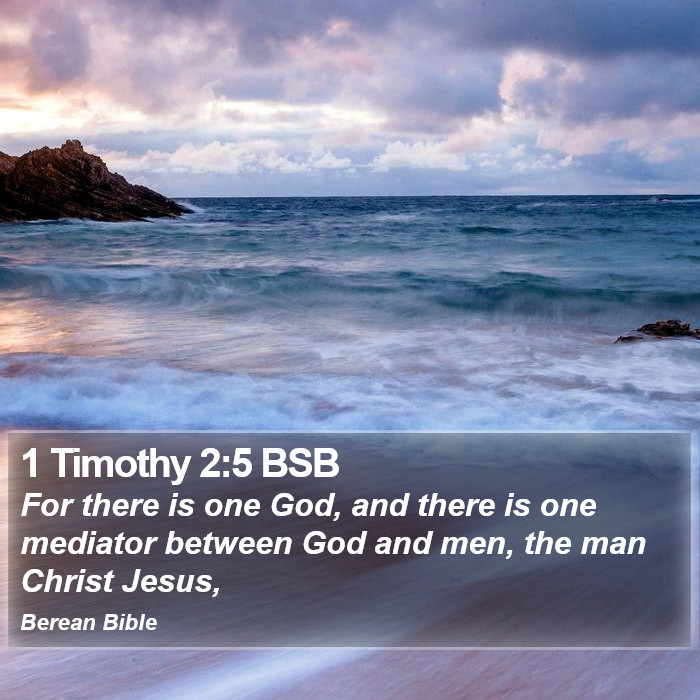 1 Timothy 2:5 BSB Bible Study