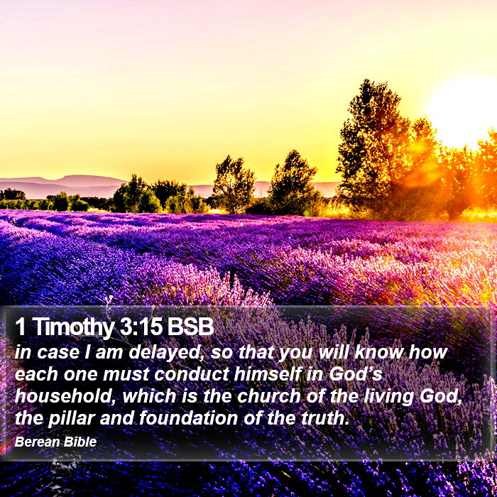 1 Timothy 3:15 BSB Bible Study