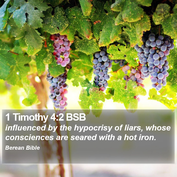 1 Timothy 4:2 BSB Bible Study