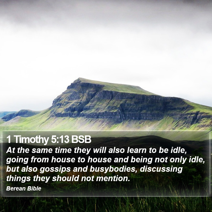 1 Timothy 5:13 BSB Bible Study