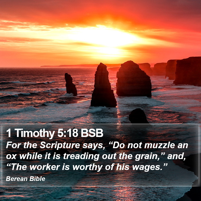 1 Timothy 5:18 BSB Bible Study