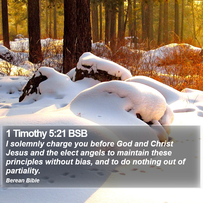 1 Timothy 5:21 BSB Bible Study