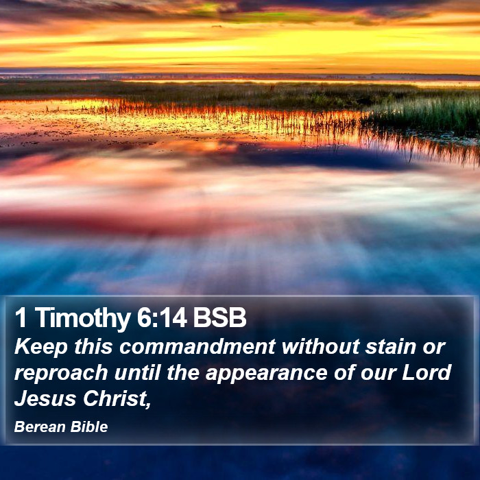 1 Timothy 6:14 BSB Bible Study