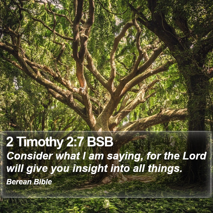 2 Timothy 2:7 BSB Bible Study