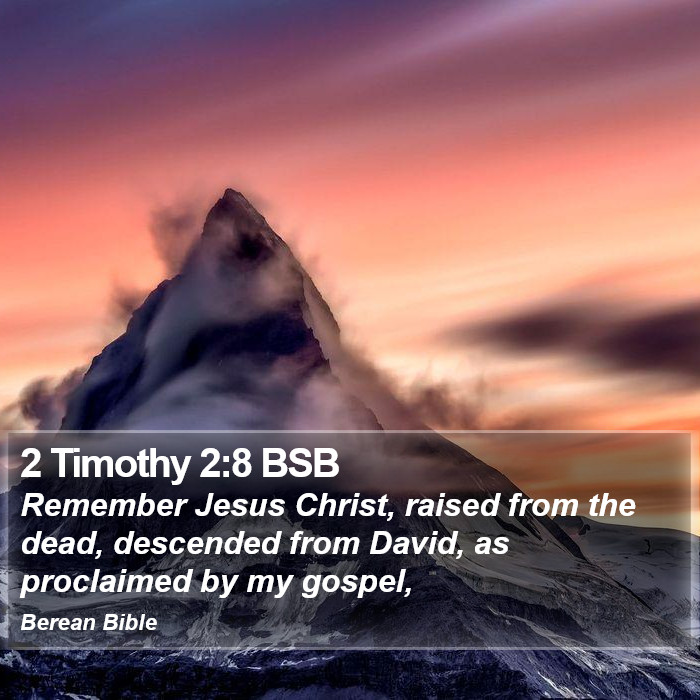 2 Timothy 2:8 BSB Bible Study