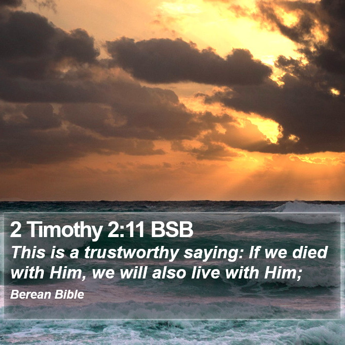 2 Timothy 2:11 BSB Bible Study