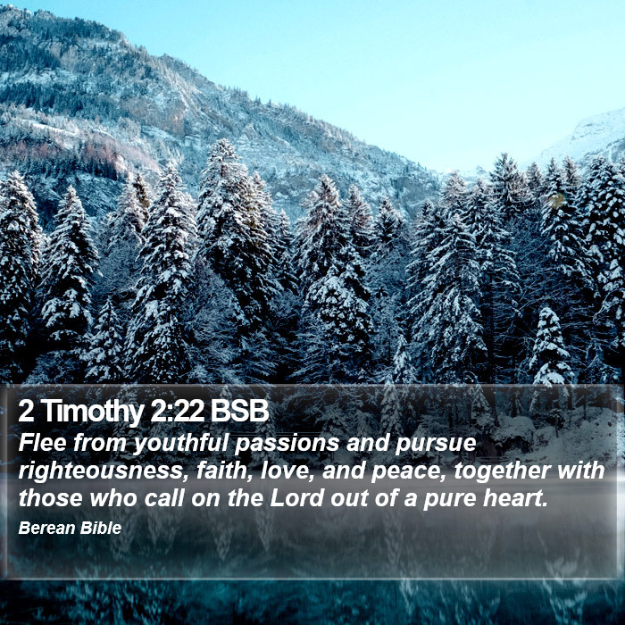 2 Timothy 2:22 BSB Bible Study