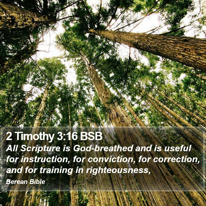 2 Timothy 3:16 BSB Bible Study