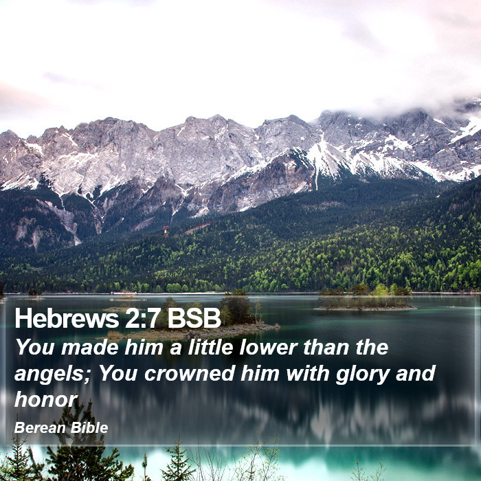 Hebrews 2:7 BSB Bible Study