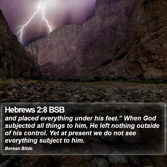 Hebrews 2:8 BSB Bible Study