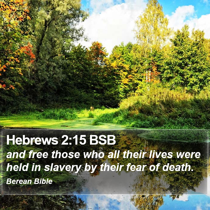 Hebrews 2:15 BSB Bible Study