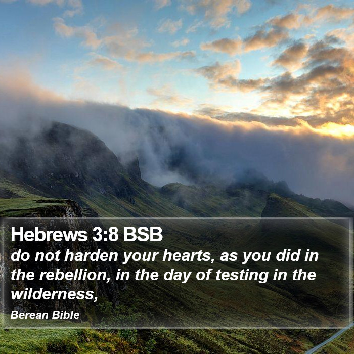 Hebrews 3:8 BSB Bible Study