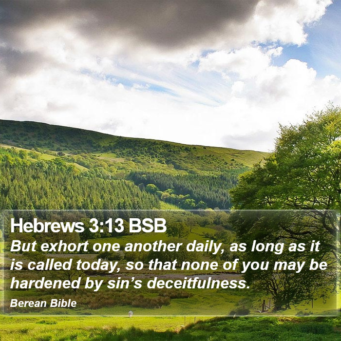 Hebrews 3:13 BSB Bible Study