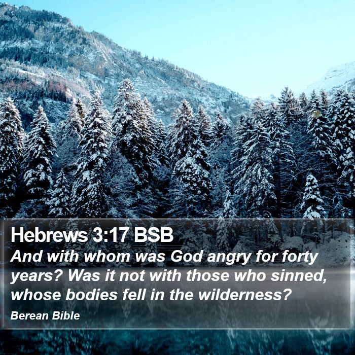 Hebrews 3:17 BSB Bible Study