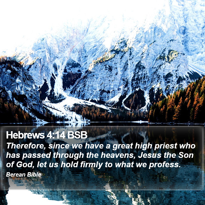 Hebrews 4:14 BSB Bible Study