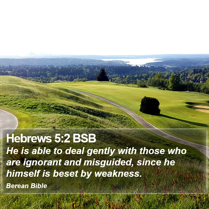 Hebrews 5:2 BSB Bible Study