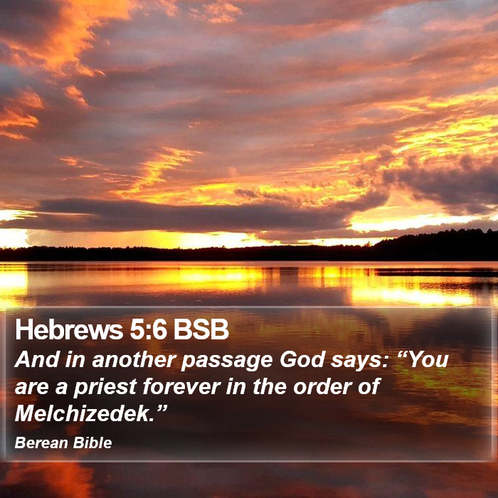 Hebrews 5:6 BSB Bible Study