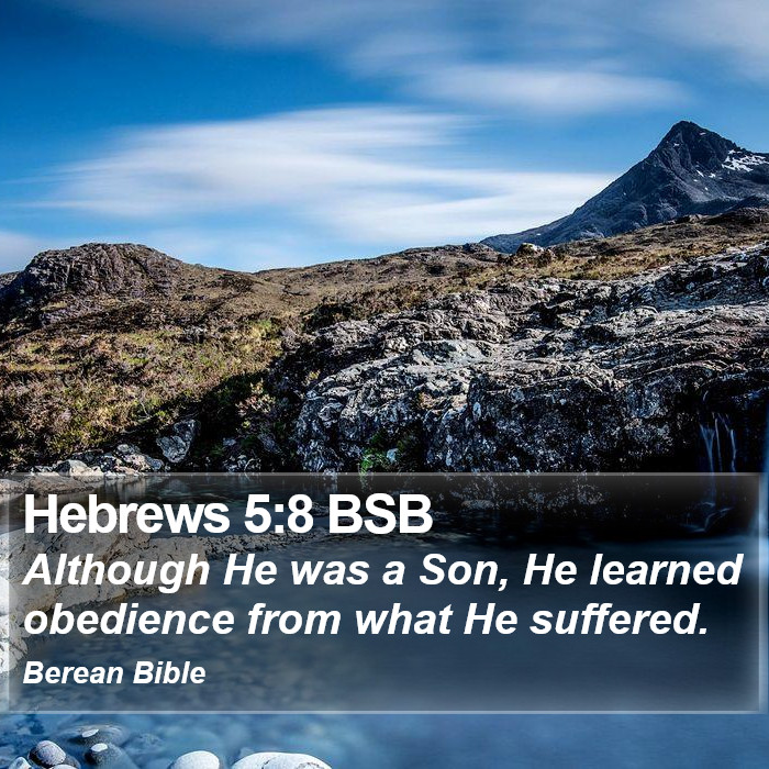 Hebrews 5:8 BSB Bible Study