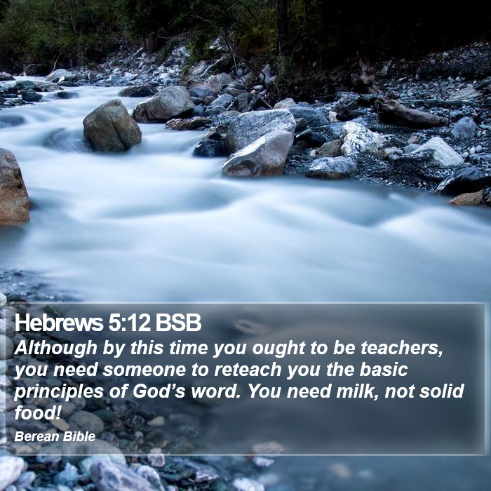 Hebrews 5:12 BSB Bible Study