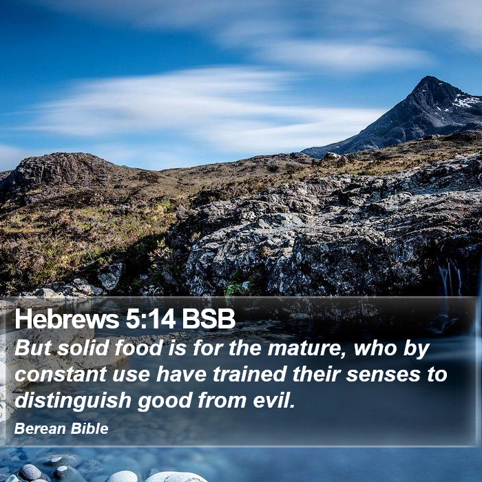 Hebrews 5:14 BSB Bible Study