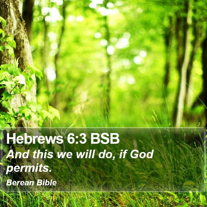 Hebrews 6:3 BSB Bible Study