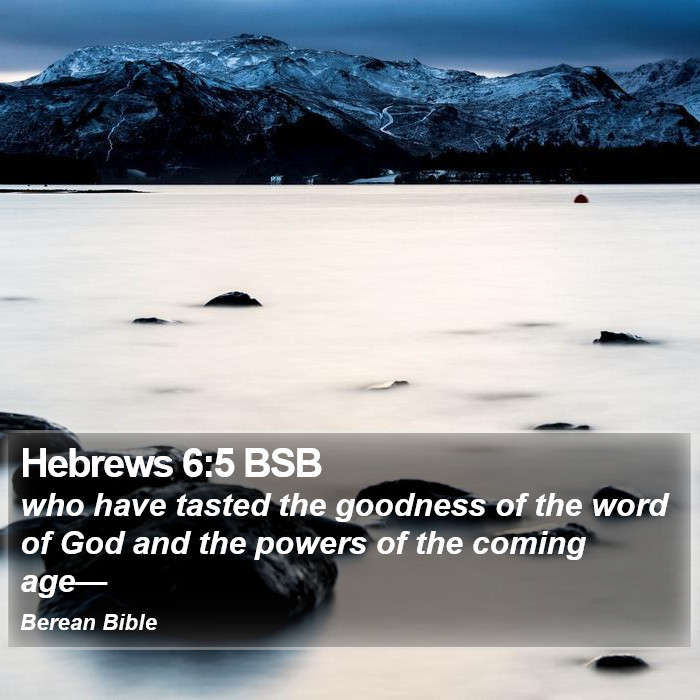 Hebrews 6:5 BSB Bible Study