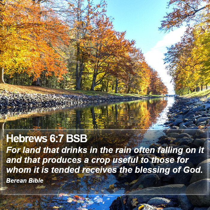 Hebrews 6:7 BSB Bible Study