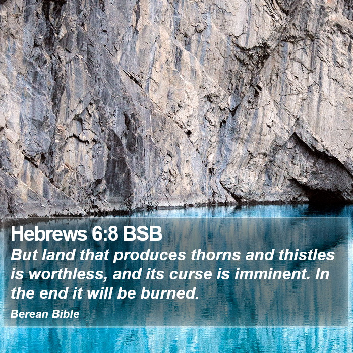 Hebrews 6:8 BSB Bible Study