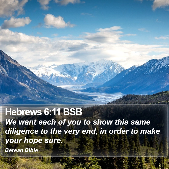 Hebrews 6:11 BSB Bible Study