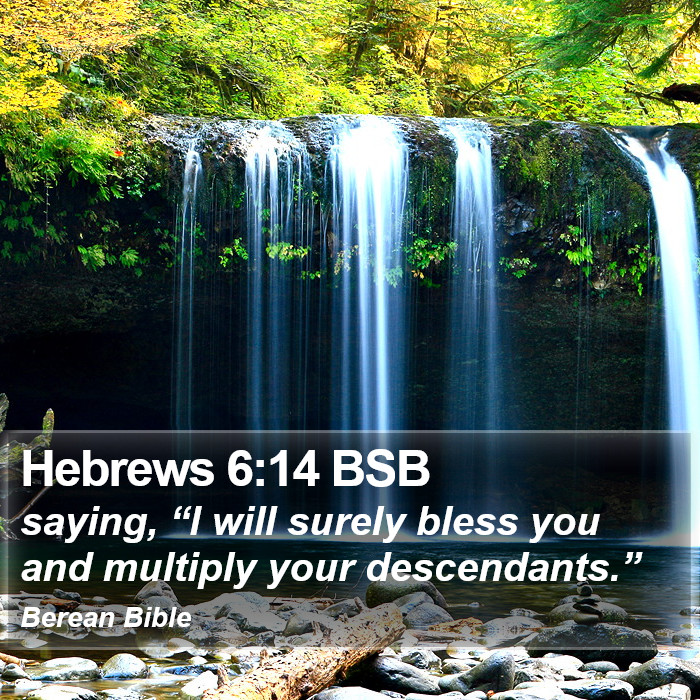 Hebrews 6:14 BSB Bible Study