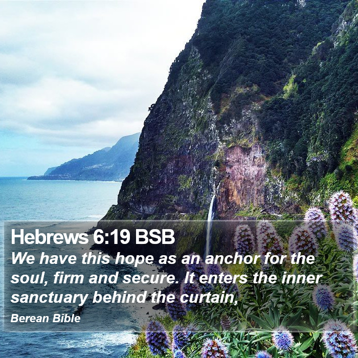 Hebrews 6:19 BSB Bible Study