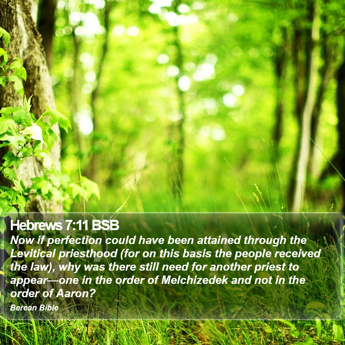 Hebrews 7:11 BSB Bible Study