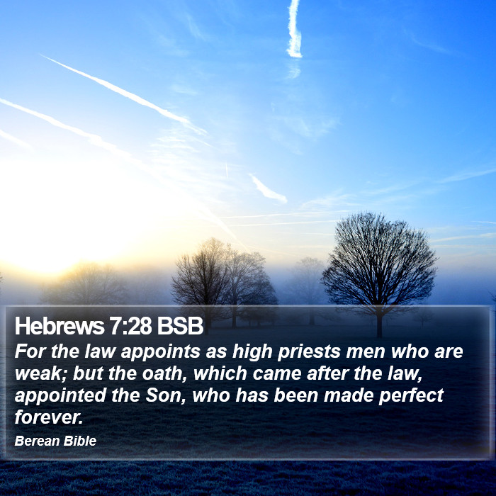 Hebrews 7:28 BSB Bible Study