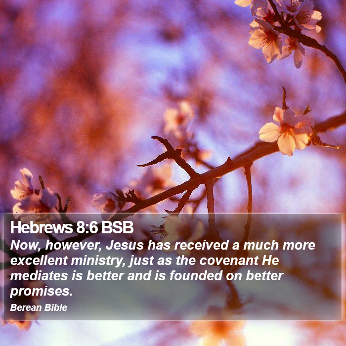 Hebrews 8:6 BSB Bible Study