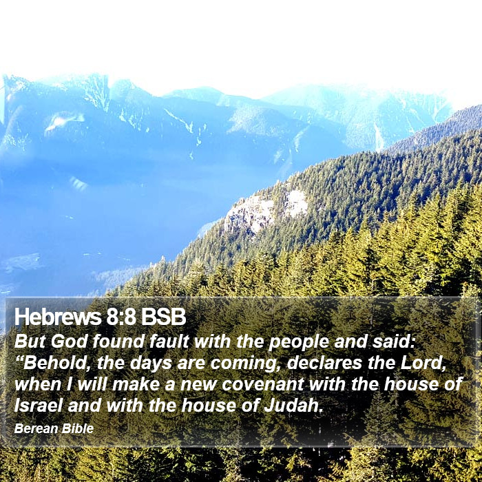 Hebrews 8:8 BSB Bible Study