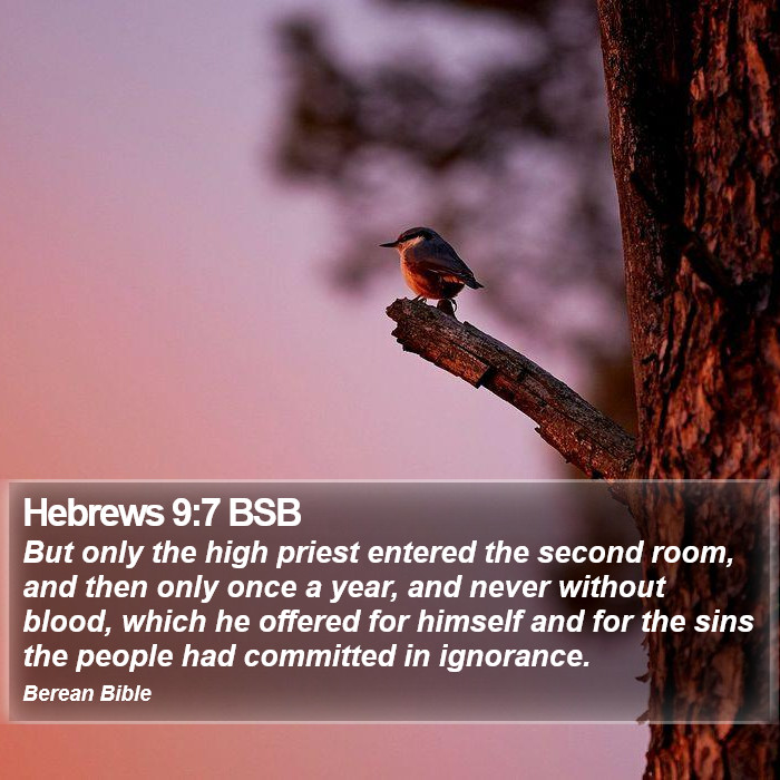 Hebrews 9:7 BSB Bible Study